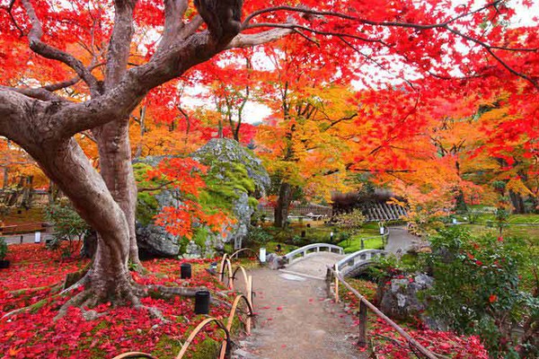 Những điểm đến đẹp như mơ của Nhật Bản 1