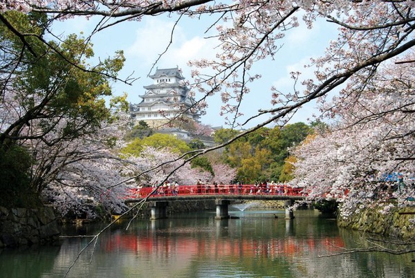 Những điểm đến đẹp như mơ của Nhật Bản 10