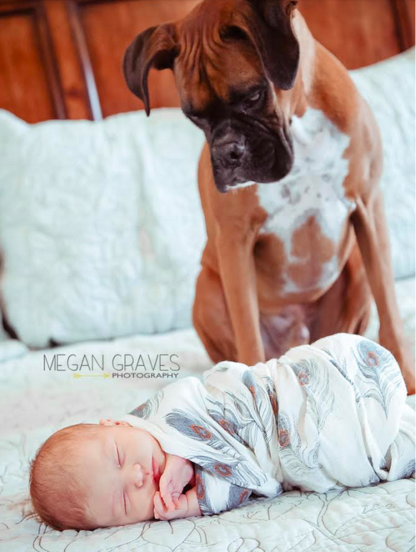 Khoảnh khắc bình yên tuyệt đẹp của bé sơ sinh bên cún cưng 11