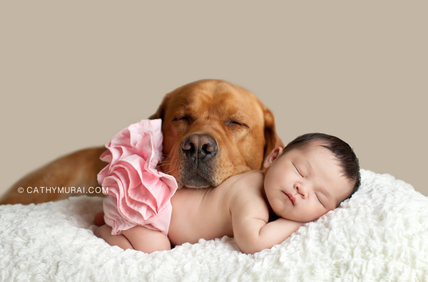 Khoảnh khắc bình yên tuyệt đẹp của bé sơ sinh bên cún cưng 12