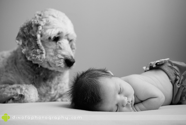 Khoảnh khắc bình yên tuyệt đẹp của bé sơ sinh bên cún cưng 4