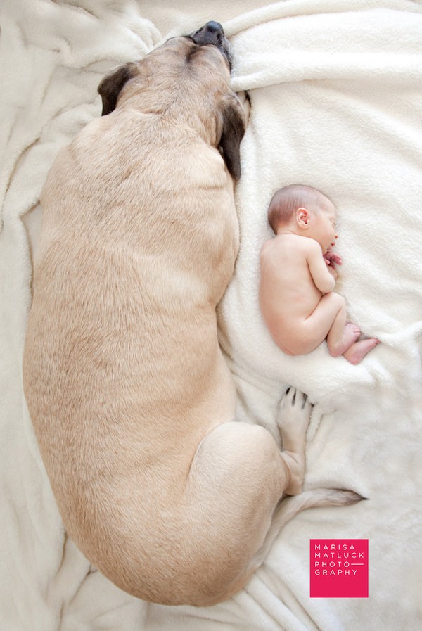 Khoảnh khắc bình yên tuyệt đẹp của bé sơ sinh bên cún cưng 7