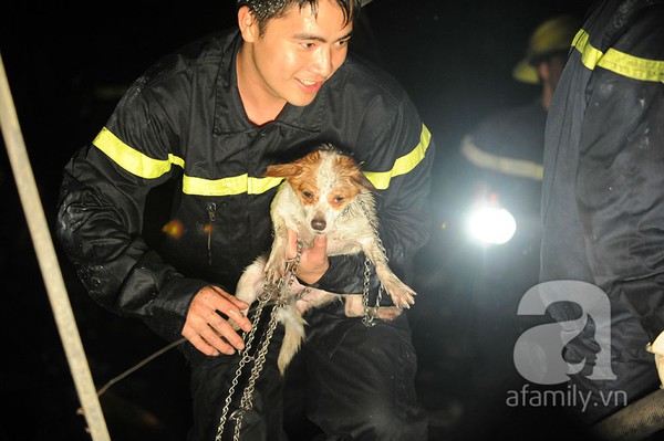 Hà Nội: Chú chó được cứu sống sau một giờ mắc kẹt trong đám cháy tại cửa hàng sofa 9