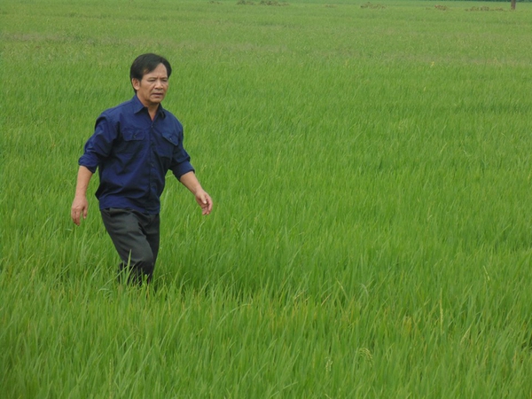 NSƯT Quang Tèo: Vất vả làm 