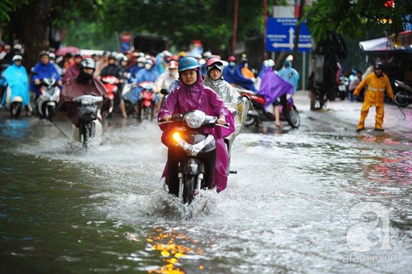 du bao thoi tiet