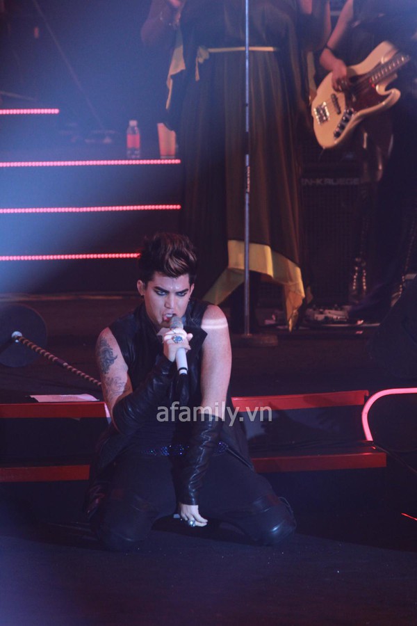 Adam Lambert máu lửa trên sân khấu Việt 18