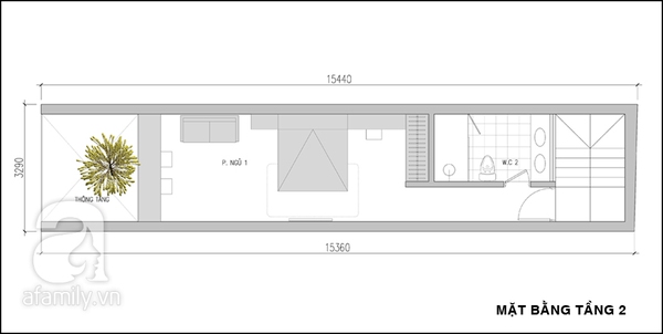 Tư vấn thiết kế nhà ống 50m² xinh xắn và tiện nghi 2