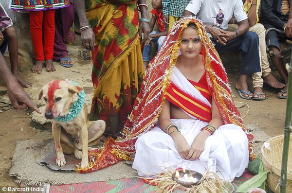 Cô gái Ấn Độ kết hôn với chú chó để xua đuổi những điều xui xẻo 1
