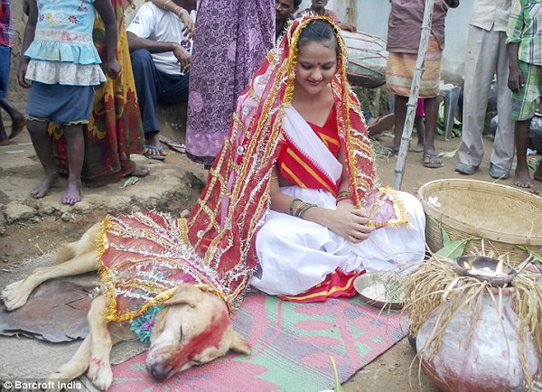 Cô gái Ấn Độ kết hôn với chú chó để xua đuổi những điều xui xẻo 2