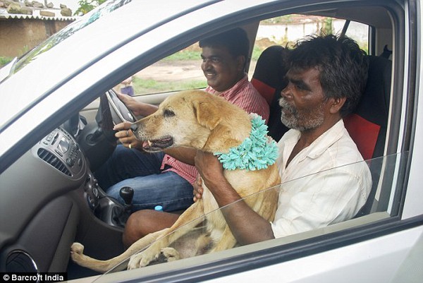 Cô gái Ấn Độ kết hôn với chú chó để xua đuổi những điều xui xẻo 6