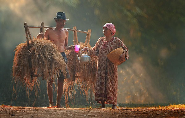 Bộ ảnh làng quê bình dị ở Indonesia đẹp đến ngỡ ngàng 11