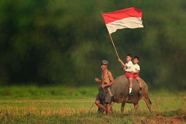 Bộ ảnh làng quê bình dị ở Indonesia đẹp đến ngỡ ngàng 12