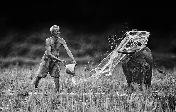 Bộ ảnh làng quê bình dị ở Indonesia đẹp đến ngỡ ngàng 4