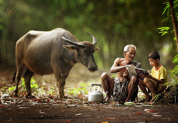 Bộ ảnh làng quê bình dị ở Indonesia đẹp đến ngỡ ngàng 7