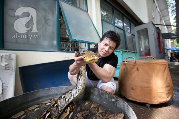 Cuộc sống thường ngày của 