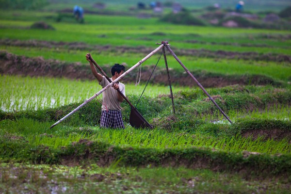 Việt Nam tuyệt đẹp qua ống kính nhiếp ảnh gia Mỹ 11