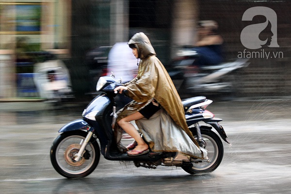 Mưa về, Hà Nội Mưa về, Hà Nội