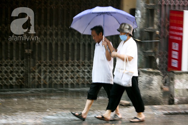 Mưa về, Hà Nội Mưa về, Hà Nội