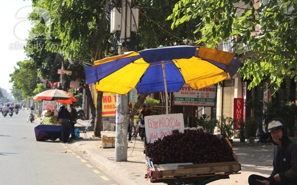 Hoa dại tiếp tục gây sốt vì công dụng “thần thánh”