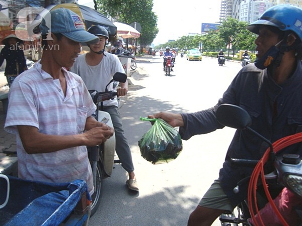 Hoa dại tiếp tục gây sốt vì công dụng “thần thánh”