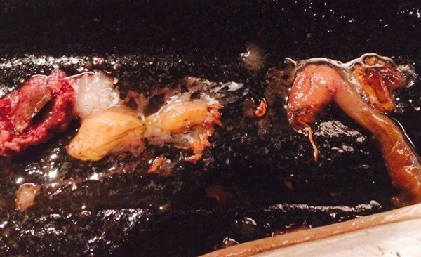 Phát hoảng hết cá thu nhà hàng Nhật có giun sán đến lẩu cua thành lẩu chuột chết