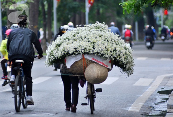 Một sớm đầu đông yên bình ở Hà Nội