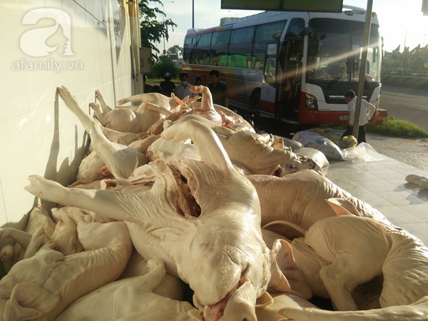 Thịt bẩn vào Sài Gòn bằng cách nào?