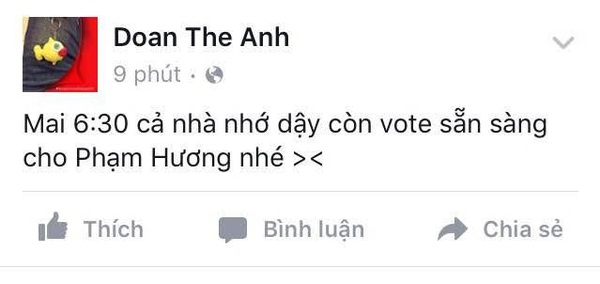 Sự ủng hộ đặc biệt đối với Hoa hậu Phạm Hương của dân mạng Việt