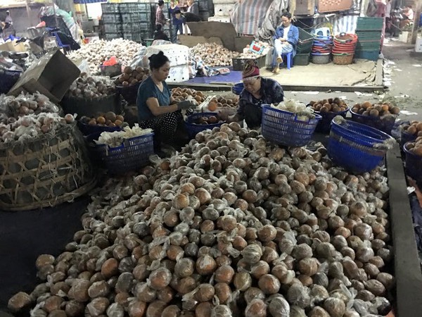 Sự thật cam Hà Giang quấn nilon ngập chợ Hà Nội Sự thật cam Hà Giang quấn nilon ngập chợ Hà Nội