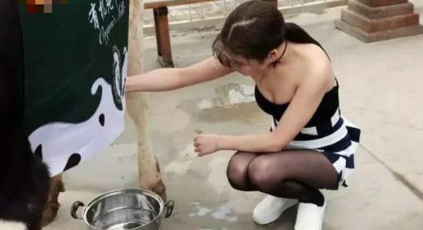 Thiếu nữ gợi cảm vắt sữa bò trên phố thu hút người qua đường Thiếu nữ gợi cảm vắt sữa bò trên phố thu hút người qua đường
