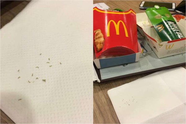 Phát hiện giun còn sống trong gói đồ ăn McDonald tại Singapore