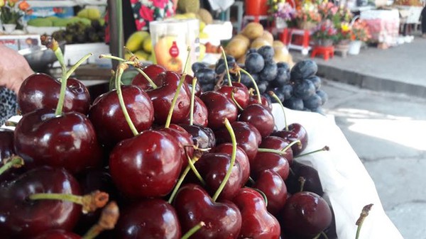 Cherry Mỹ nhập khẩu phơi cả ngày dưới trời nắng vẫn tươi