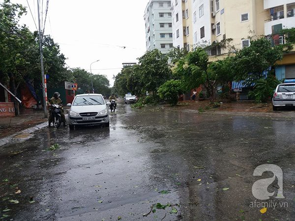 Bão số 1 gây mưa to, gió giật tàn phá nặng nề, nhiều khu vực tại miền Bắc mất điện