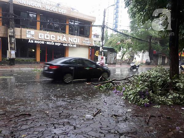 Bão số 1 gây mưa to, gió giật tàn phá nặng nề, nhiều khu vực tại miền Bắc mất điện