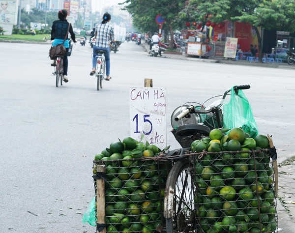 Dở khóc dở cười vì những quảng cáo đồ ăn kiểu “treo đầu dê, bán thịt chó”