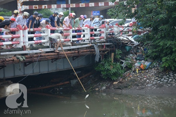 Hà Nội: Người dân đổ xô đi quăng lưới bắt cá sau bão số 3