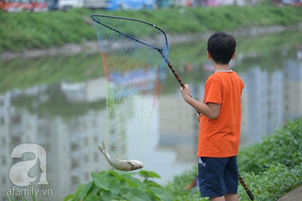 Hà Nội: Người dân đổ xô đi quăng lưới bắt cá sau bão số 3