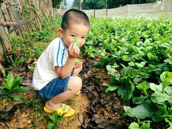 Cùng MẸ “khởi nghiệp”: Bỏ thu nhập trăm triệu để nuôi trồng thực phẩm sạch