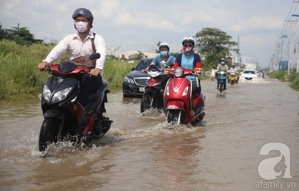 Chiều tối nay, TP HCM sẽ có mưa to, Hà Nội ngày nắng