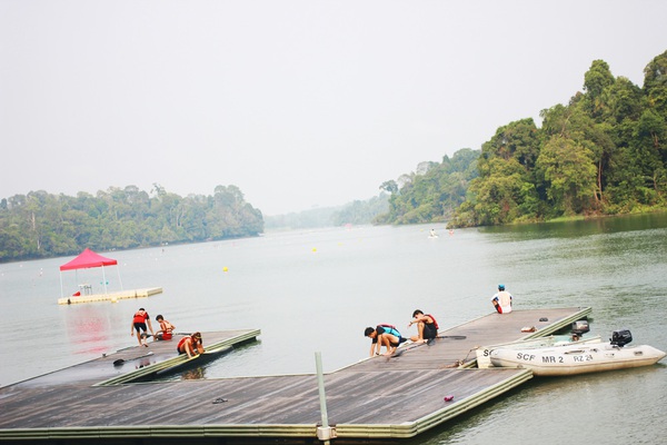 Singapore: Đi ngắm hoàng hôn tuyệt đẹp ở công viên MacRitchie Reservoir  7