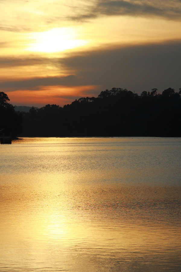 Singapore: Đi ngắm hoàng hôn tuyệt đẹp ở công viên MacRitchie Reservoir  12