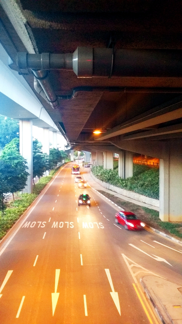 Singapore: Đi ngắm hoàng hôn tuyệt đẹp ở công viên MacRitchie Reservoir  3