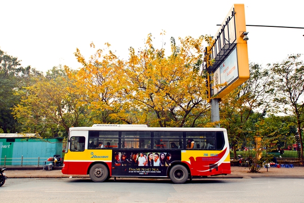 Hà Nội đẹp ngỡ ngàng như tranh mùa cây thay màu lá 16