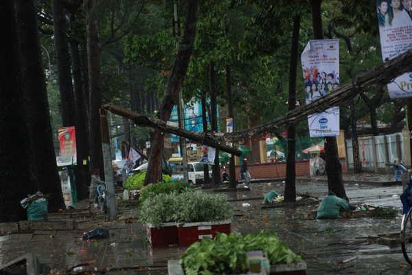 TP.HCM: Cây xanh bật gốc đổ đè hàng chục xe máy trong mưa lớn 12