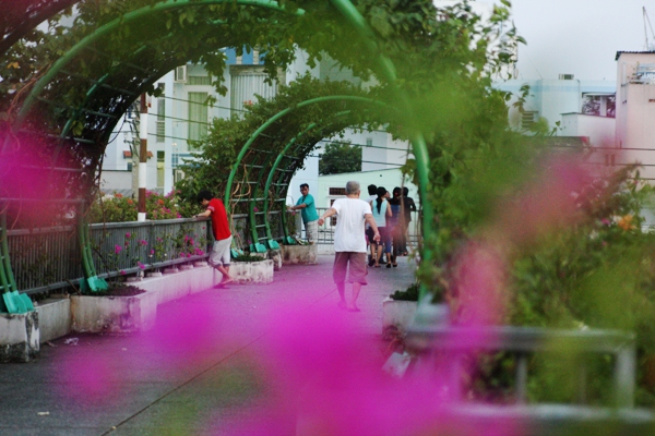 Người Sài Gòn thích thú đi dưới vòm hoa rực rỡ phủ kín cầu bộ hành 4