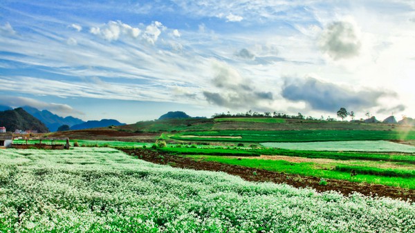 Khi mùi hương kể chuyện 1