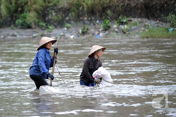 quangninh5