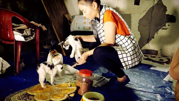 Thu Minh bất ngờ thăm cụ bà nuôi hơn 50 chú mèo 3
