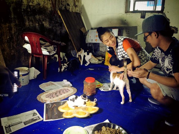 Thu Minh bất ngờ thăm cụ bà nuôi hơn 50 chú mèo 2