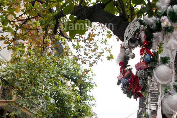 Hà Nội - Sài Gòn rực rỡ chào Noel 2012 5